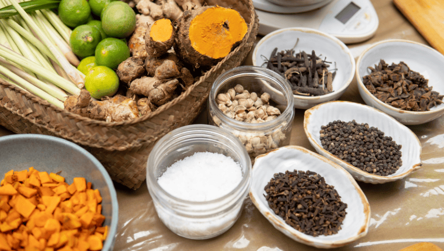 Pharmacognosy: Bridging Traditional Medicine and Modern Medicine