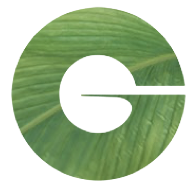 {"en":null}