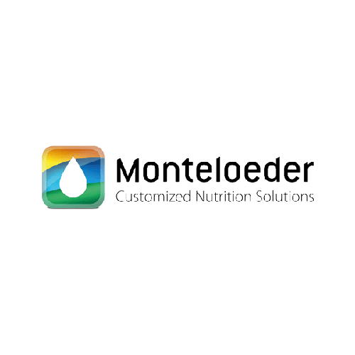 {"en":null}