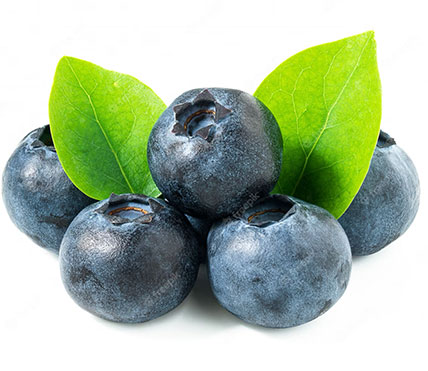 Bilberry