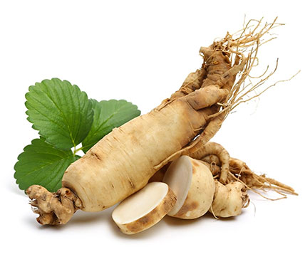 Ginseng